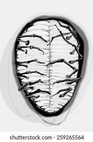 Fantasy insect paws black and white sketch illustration