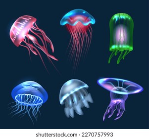 Fantasy jellyfish. Transparent underwater jellyfish collection decent vector fantasy animals realistic set