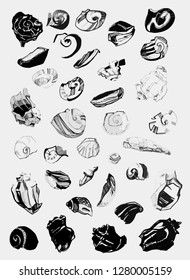 Fantasy large set with shells. Vector sketches of seashells. Beautiful linear seashells. Set of seashells. Linear sketches. Seashells from spots and lines.