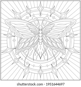 Fantasy Light Butterfly With Circle Star Border. Learning And Education Coloring Page Illustration For Adults And Children. Outline Style, Black And White Drawing
