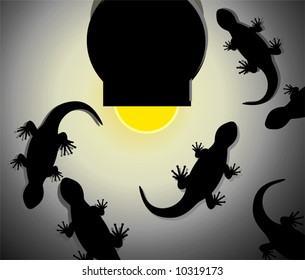  fantasy of lizards around light	