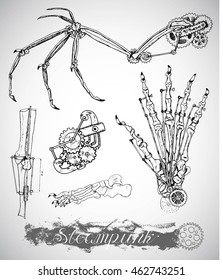 Fantasy monster wing, leg and hand with vintage mechanism in steampunk style. Bones and retro machines