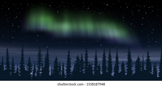 Fantasy on the theme of the northern landscape. Night, stars and polar lights. Vector illustration, EPS10