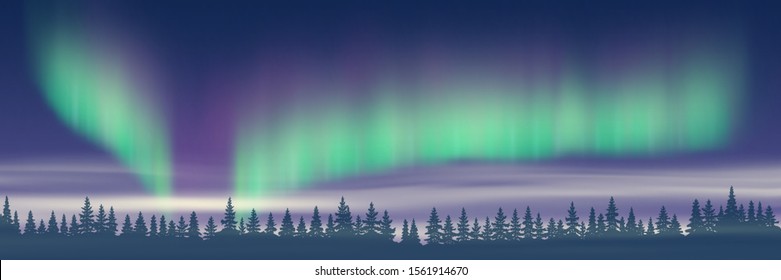 Fantasy on the theme of the northern landscape. Night and polar lights. Vector illustration, EPS10