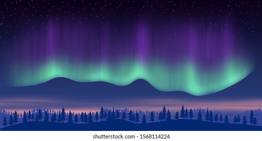 Fantasy on the theme of the northern landscape. Night and polar lights. Vector illustration, EPS10