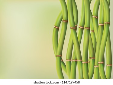 Fantasy oval bamboo background