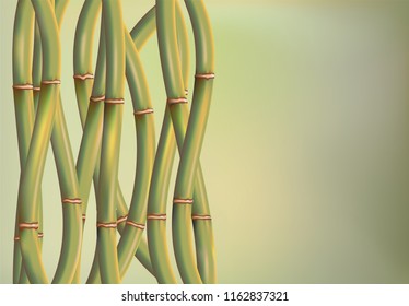 Fantasy oval bamboo background