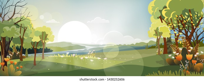 Fantasy panorama landscapes of Countryside in spring,Cartoon wonderland of Summer landscape in morning at fram field with hills, wildgrass flowers and brigh light from the sun in green foliage