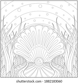 Fantasy pearl and sea shell with beautiful seaweed environment . Learning and education coloring page illustration for adults and children. Outline style, black and white drawing
