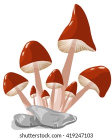 Fantasy red mushrooms hand drawing vector illustration