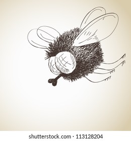 Fantasy sketch of fly