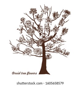 Fantasy tree with different flowers. Collection of Druid Flowers on a Tree