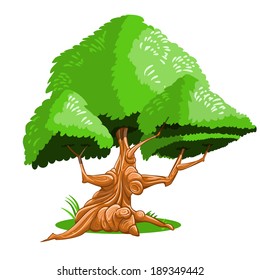 fantasy tree isolated on white background