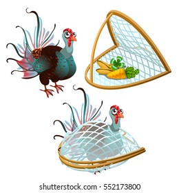 Fantasy underwater turkey with fins caught in a trap. Fancy gobbler isolated on white background. Vector illustration close-up.