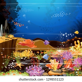 Fantasy underwater world - true underwater photos and underwater life, the beauty of marine life, sea fish and beautiful and colorful coral reefs - vector