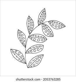 Fantasy whimsical twig with leaves hand drawn doodle element coloring book for kids and adults