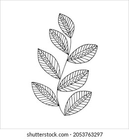 Fantasy whimsical twig with leaves hand drawn doodle element coloring book for kids and adults