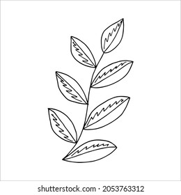 Fantasy whimsical twig with leaves hand drawn doodle element coloring book for kids and adults