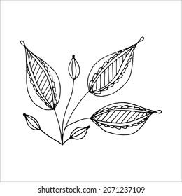 Fantasy whimsical twig with leaves hand drawn doodle element coloring book for kids and adults