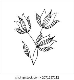 Fantasy whimsical Zweig mit Blättern handgezeichnet doodle Element färben Buch für Kinder und Erwachsene