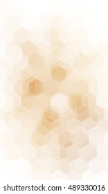 fantasy white, brown color geometry background. vector illustration. polygonal pattern. design for banner, presentation, wallpaper.