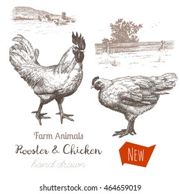 Farm 5. Vector vintage hand drawn sketches of rooster, chicken and countryside on white background. Great for label or poster.