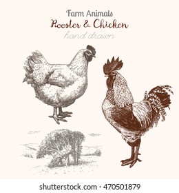 Farm 6. Vintage hand drawn sketches of rooster, chicken and countryside on white background. Great for label or poster.