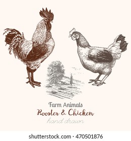 Farm 7. Vintage hand drawn sketches of rooster, chicken and countryside on white background. Great for label or poster.