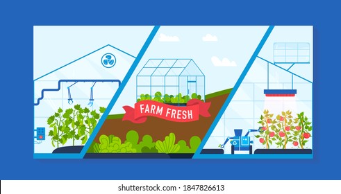 Farm agriculture greenhouse vector illustration. Cartoon flat ripe red tomatoes, green cucumbers growing in modern automated farmers glasshouse with robot equipment, agricultural automation background