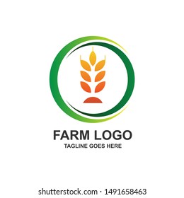 Farm and Agriculture Logo Design