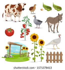 Farm and agriculture vector field, animals, vegetable food and crop plants. Farmer field, milk cow and village nature, bean grains, tomatoes, sunflowers and fence, goose, turkey, quail and donkey