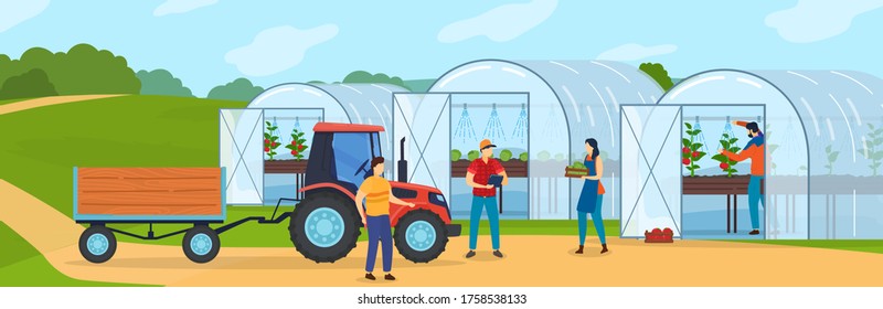 Farm agriculture vector illustration. Cartoon flat farmer people growing organic vegetables in greenhouse or hothouse, harvesting, tractor with trailer taking crop to agricultural market background