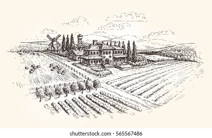 Farm, agriculture or vineyards sketch. Vector illustration