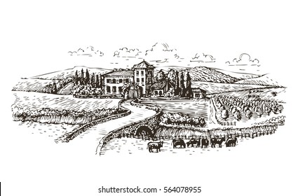 Farm, agriculture or vineyards sketch. Vintage landscape vector illustration