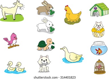 farm animal