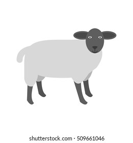 Farm Animal