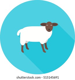 Farm Animal
