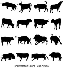 Farm Animal Cattle from all over the world