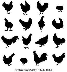 Farm Animal Cock, hen and chick