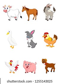 Farm animal collection set on white background
