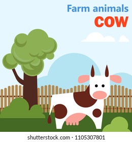 Farm animal cow