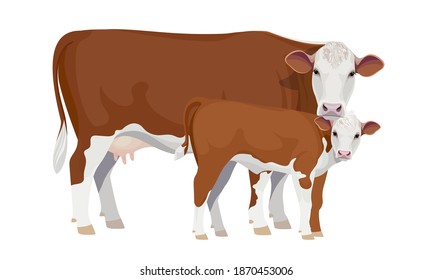 Farm animal - Cow with Calf. Hereford - The Best Beef Cattle Breeds. Vector Illustration.