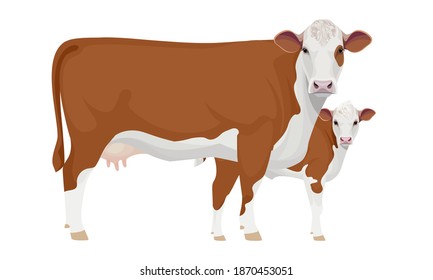 Farm animal - Cow with Calf. Hereford - The Best Beef Cattle Breeds. Vector Illustration.