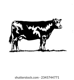 farm animal cow design illustration