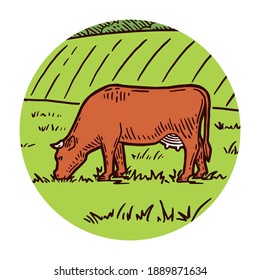 Farm animal. Cow sketch. Hand drawn. Vintage style. Vector illustration