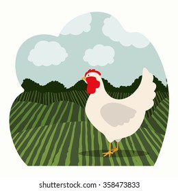 farm animal design 