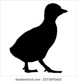 Farm Animal Duck Silhouette Vector Illustration