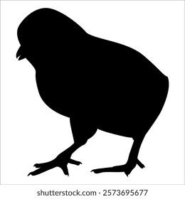 Farm Animal Duck Silhouette Vector Illustration