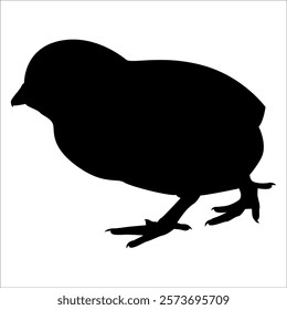 Farm Animal Duck Silhouette Vector Illustration