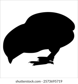 Farm Animal Duck Silhouette Vector Illustration